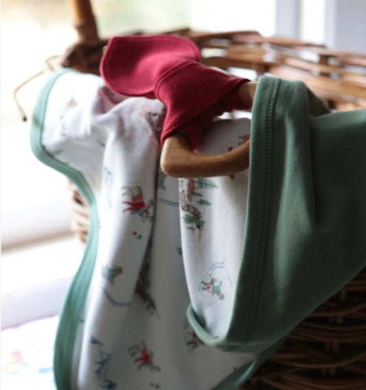 Baby swaddle blanket | mountain express finn + emma