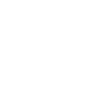 20%