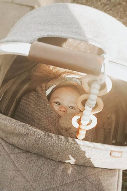 Baby Car Seat Toy - Sparrow littleCHEW