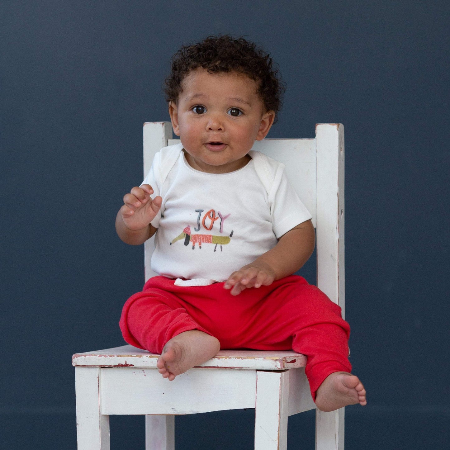 Baby graphic bodysuit | joy dog finn + emma