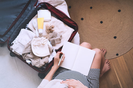 6 Best Womens Travel Bags For New Moms