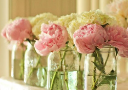 The Most Symbolic Flowers For A Baby Shower