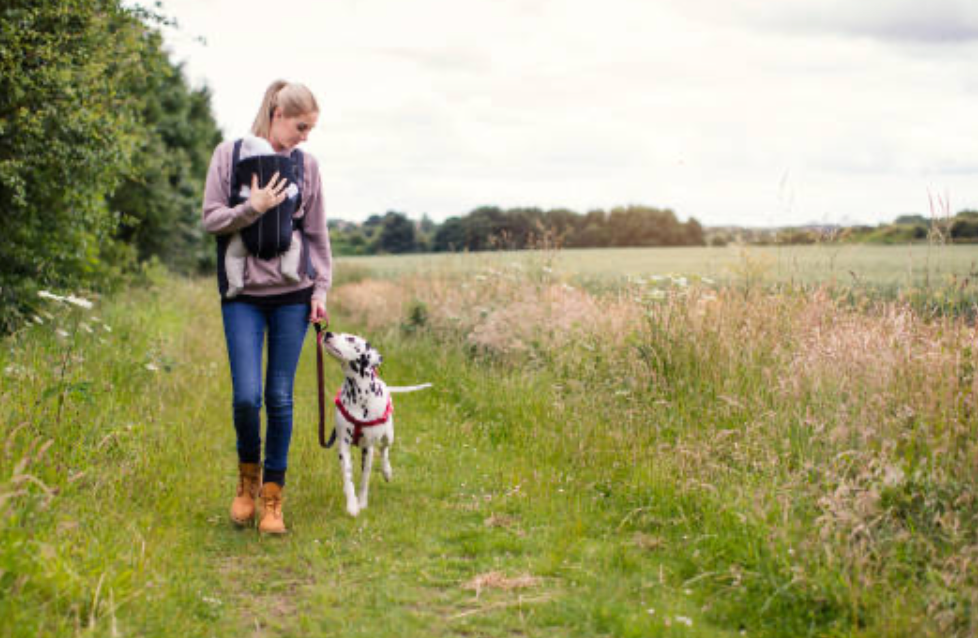 Best Side Hustle Ideas for Stay-at-Home Moms