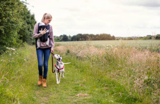 Best Side Hustle Ideas for Stay-at-Home Moms