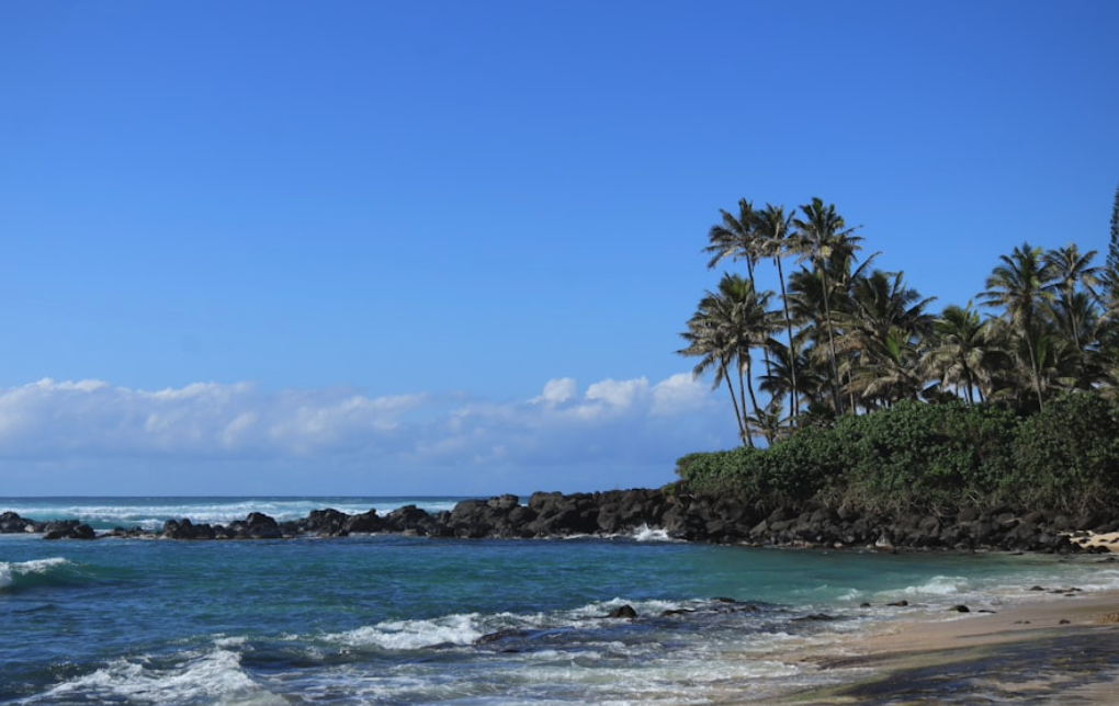 Explore Oahu's Hidden Gems: Your Ultimate Travel Guide
