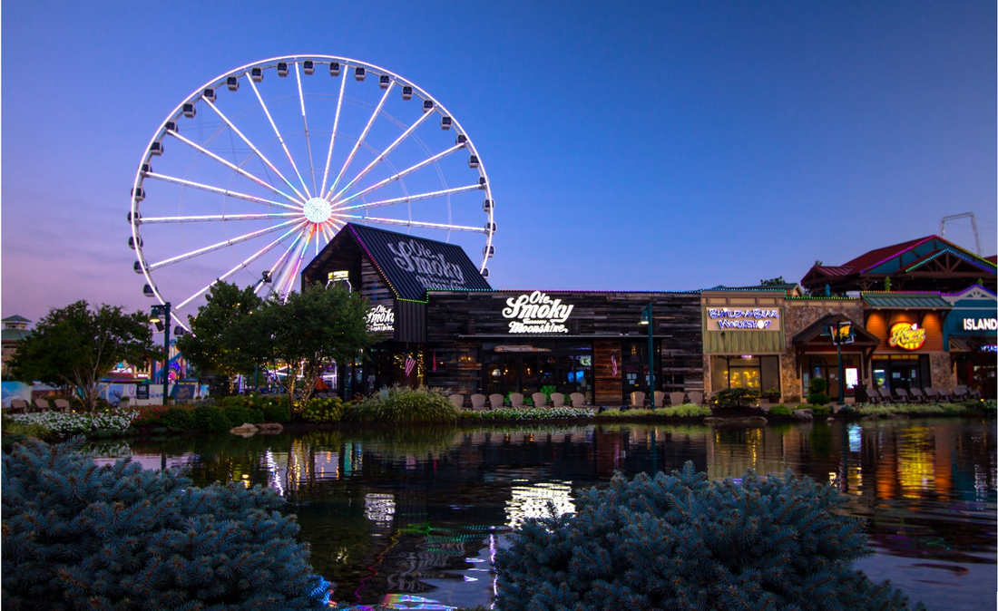 How to Find the Best Family-Friendly Restaurants on Your Trip?