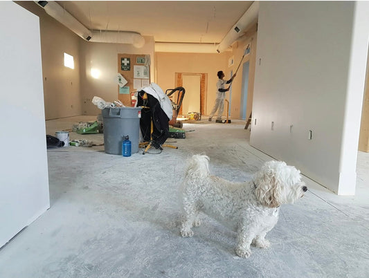 Effective Ways to Tackle Home Repairs While Navigating the Demands of Parenthood