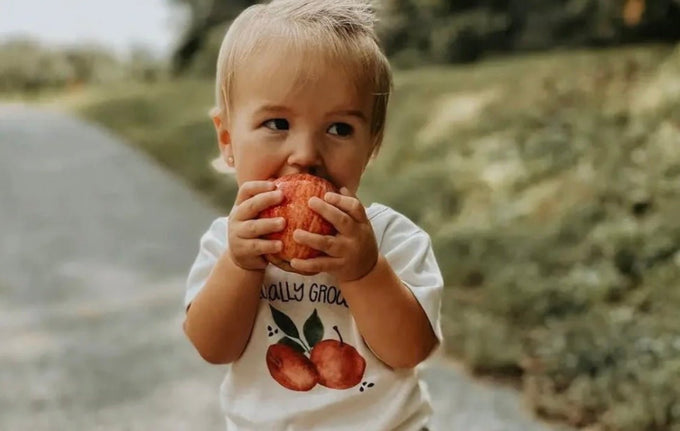 Easy Baby Finger Meals You Can Make and Take Anywhere