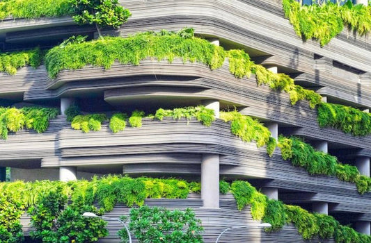 Eco-Friendly Architecture: Designing a Sustainable Home