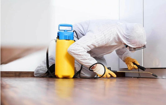 How to Choose the Right Exterminator in Murfreesboro TN: A Complete Guide