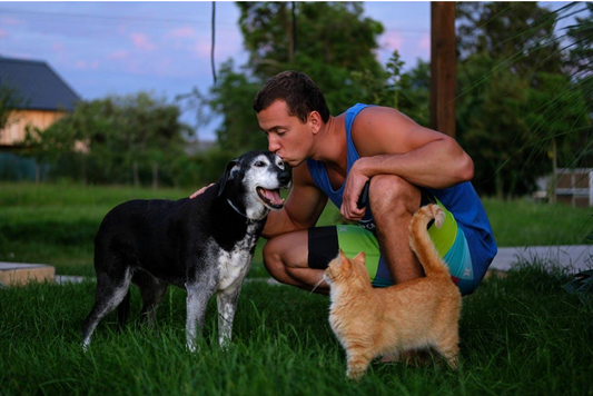 Benefits of Natural Supplements for Happy Family Pets
