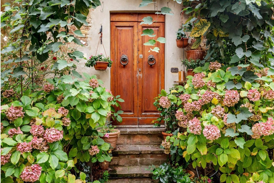 Create a Kid-Friendly Backyard to Spark Imagination and Promote Learning