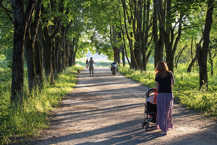 How to Choose the Right Baby Stroller for You – Finn + Emma