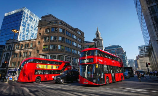 Binghamton Bus Services: Things to Do in NYC in July