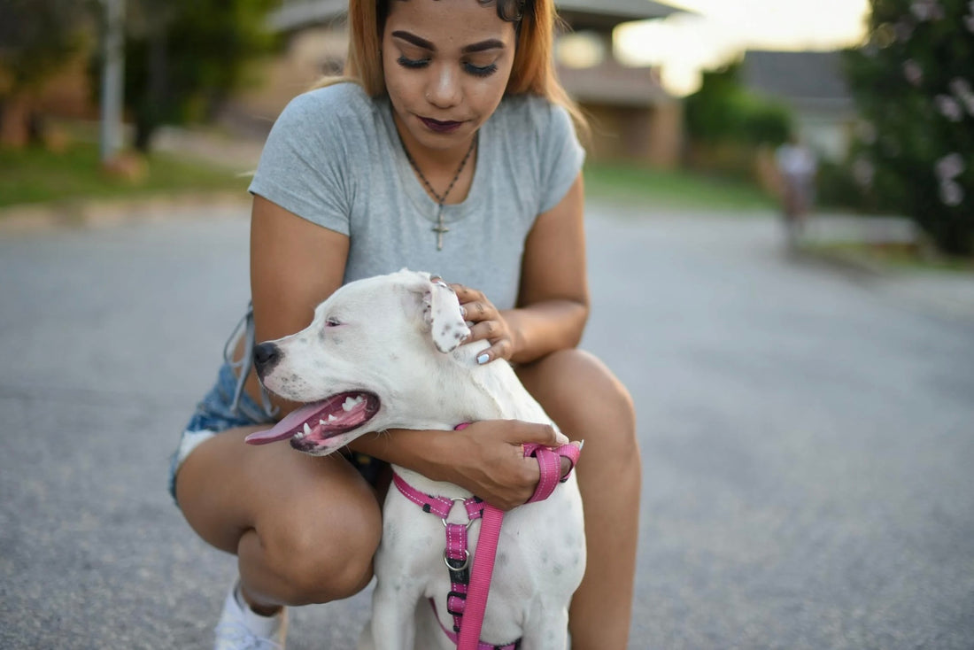 Why Everyone With Anxiety or Depression Should Consider an Emotional Support Animal