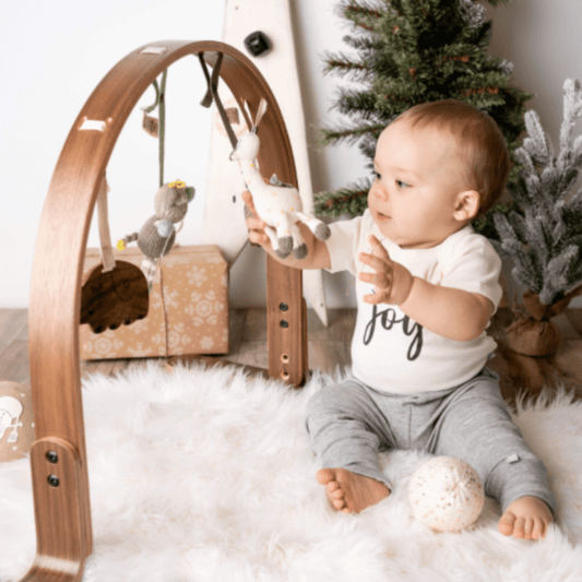 Baby 2 pc. stroller toys | amelia & piper finn + emma