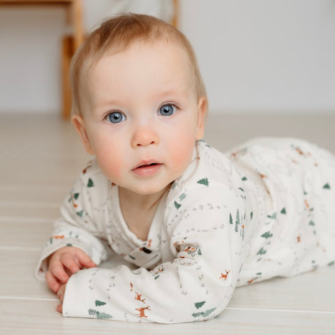 <p>into the woods</p>