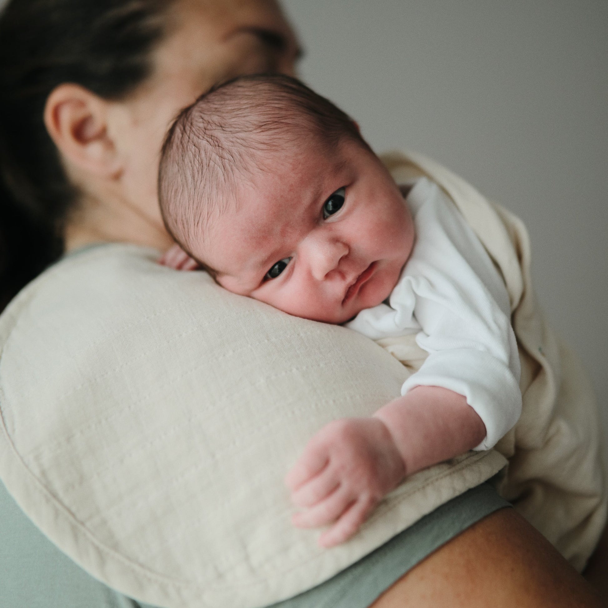 Baby Organic Cotton Muslin Burp Cloth 2-Pack Mushie